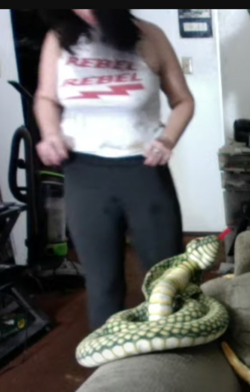 5706547-5984dbcf8d3cbcee7c2cd19d39804c51.png