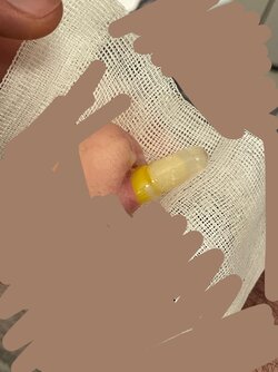 l8a7z5g2dbic1.jpg