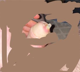 i6pvard88qhc1.jpg