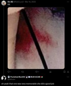 1707908956245.png