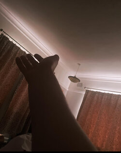 IMG_2164.jpeg
