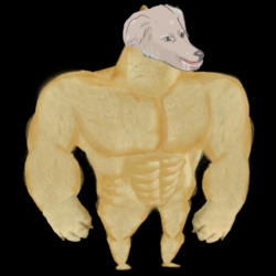 1707982776761.png