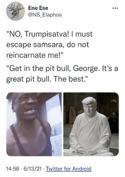 Buddhist Trump.jpg