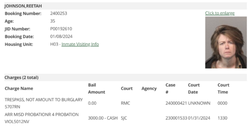 jail record Reetah Johnson.png