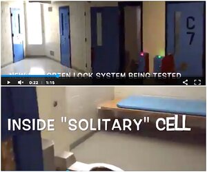 c cells.jpg