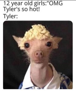 FB_IMG_1708025892612.jpg