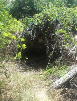 IMG_3073.jpeg