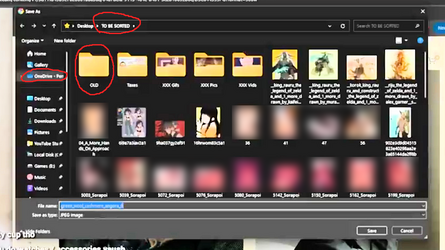 vaush folder evidence SFW 3.png