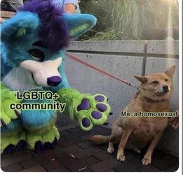 1708131319639.jpeg
