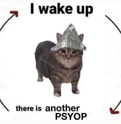 e724fffd779cf8ea9451211eb18226d71f62a143e23aa11006f856f4aef24c80_1.jpg
