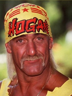 hulk hogan dad.jpg
