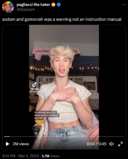 dumb.png