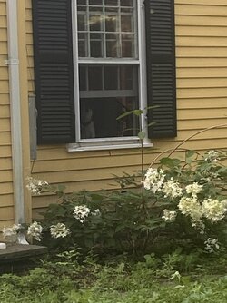 IMG_6462.jpeg