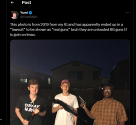 firsttweetbbguns.png