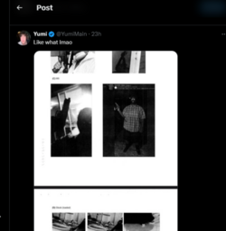 secondtweetbbguns.png