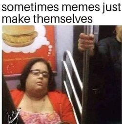 meme.jpg