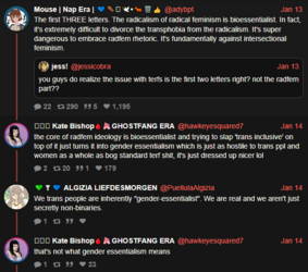 radfem rhetoric.PNG