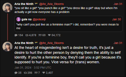 punch like a girl.PNG