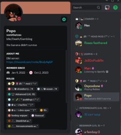 Screenshot 2024-02-19 101650.png