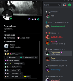 Screenshot 2024-02-19 101635.png