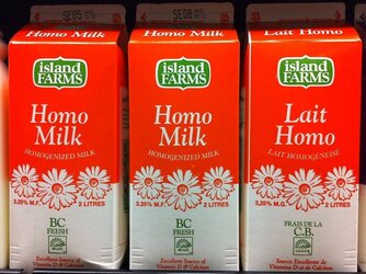 homo milk.jpg