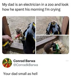 FB_IMG_1708385974227.jpg