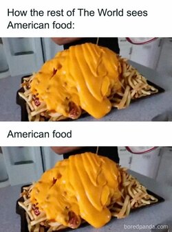 1000010429.jpg