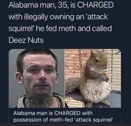 Attack.jpg