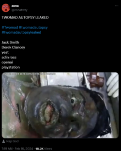 Twomad1.png