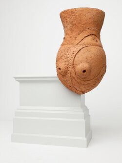 Large_Web_Image-Hornero-by-Gabriel-Chaile_0.jpg