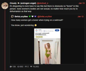 we are not sexual.PNG