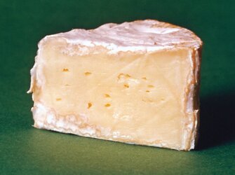 Camembert-cheese.jpg