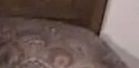 1708637649325.png