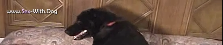 1708637759136.png