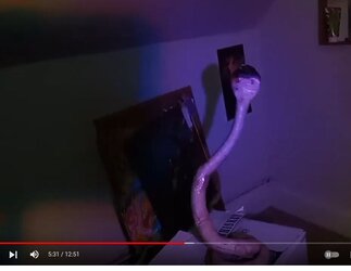 cobra.JPG