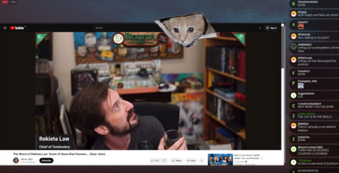 cat.PNG