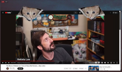 kitty.PNG