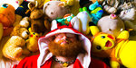 tumblr_op6lgbR0xh1qms715o5_1280.jpg