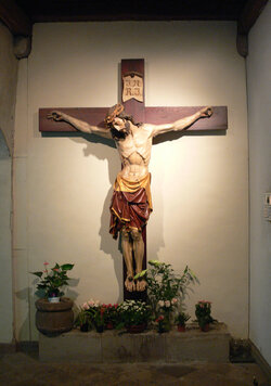 IMG_6881.jpeg
