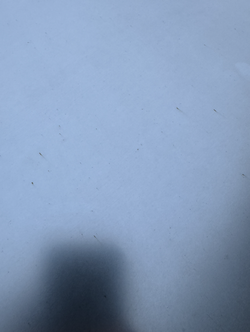 1708755718380.png