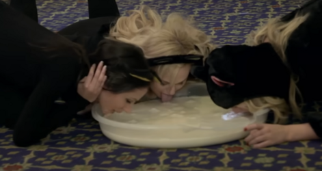 swiftie.png