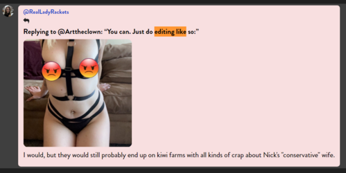 Conservative Wife.png