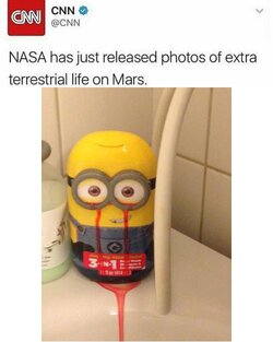 image2.jpeg