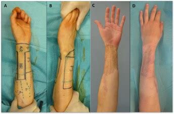 proxy-image(4).jpg proxy-image(4).jpg