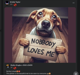 1708901779577.png