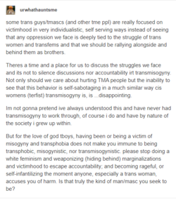 trans fight.PNG