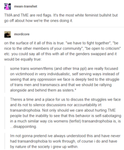 trans fight 2.PNG