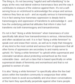 trans fight 7.PNG