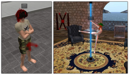 sl 13.png sl 13.png