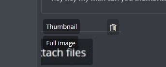 thumbnail.JPG